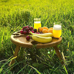 Portable Picnic Table